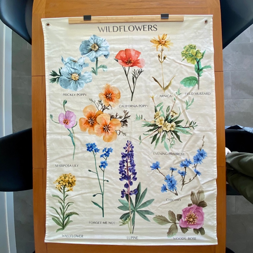 🌷Urban Outfitters Botanical Wildflower Tapestry